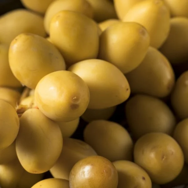 Kurma Muda Kuning Segar untuk Promil 1 Kg