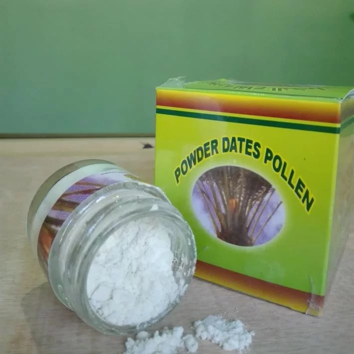 khasiat serbuk kurma muda