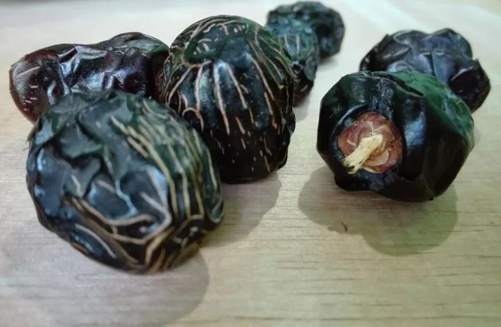 kurma ajwa asli