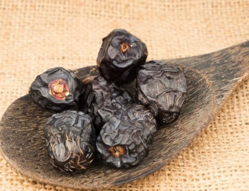 Manfaat Kurma Ajwa Menurut Islam Yang Perlu anda Tahu