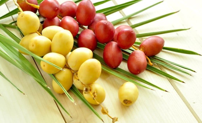 manfaat kurma muda bagi kesuburan