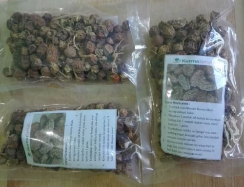 Manfaat Kurma Muda Kering Untuk Kesuburan yang Harus Anda Tahu