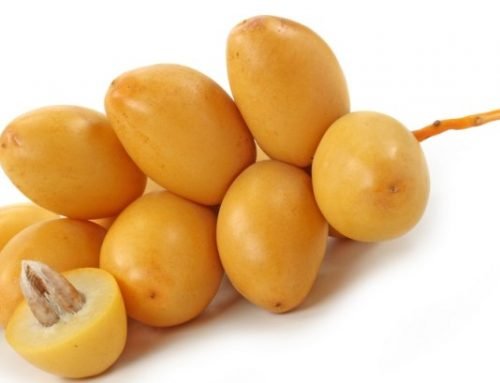 Pilihan Resep Kurma Muda Untuk Kesuburan dan Program Kehamilan
