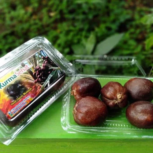 Jual buah zuriat madinah