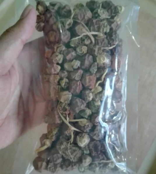 kurma muda kering asli arab saudi