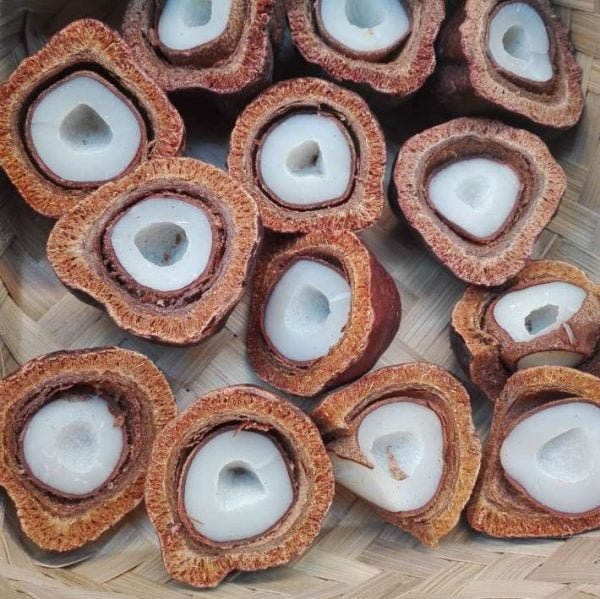 Khasiat Buah Zuriat Untuk Promil Dan Cara Konsumsinya Agar Hamil