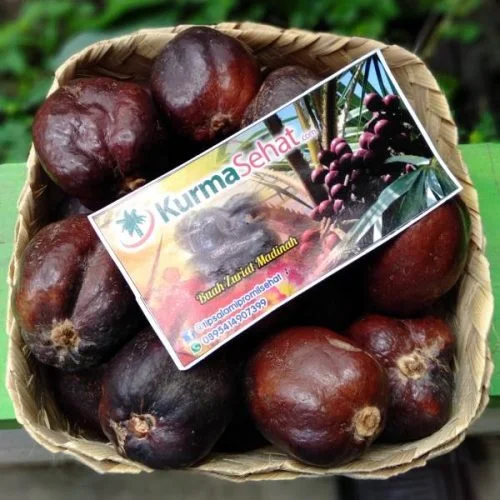 Jual Buah Zuriat Arab