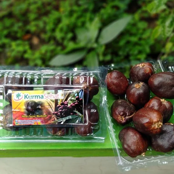 buah zuriat madinah Original