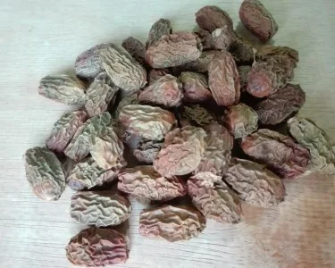 kurma muda kering