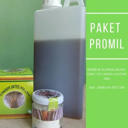 paket promil madu asli dan serbuk kurma muda