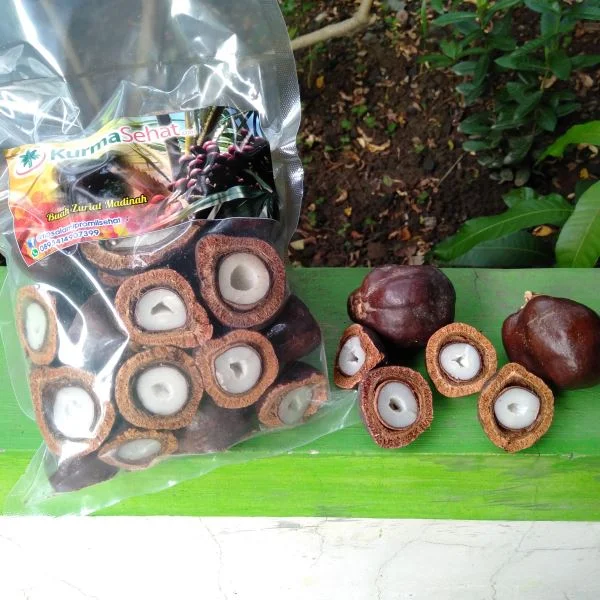 Jual Buah Zuriat Madinah Belah