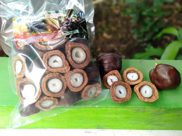 Buah Zuriat Madinah Belah 500 Gram - Image 3