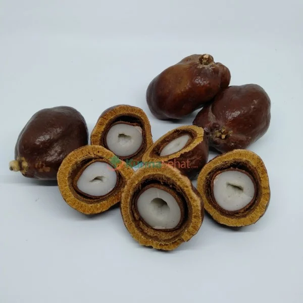 Buah zuriat madinah belah