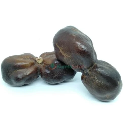 Jual Buah Zuriat Madinah Kembar