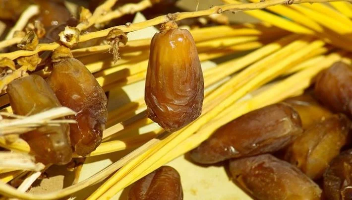 Kurma obat jantung