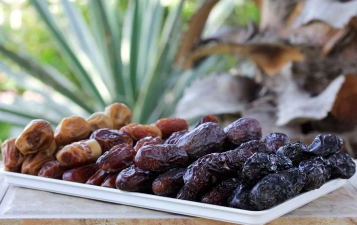 Kurma termahal dan terenak