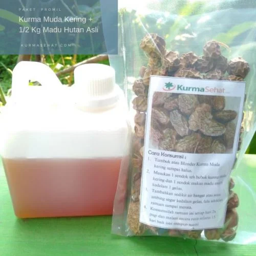 Paket promil kurma muda kering dan madu asli