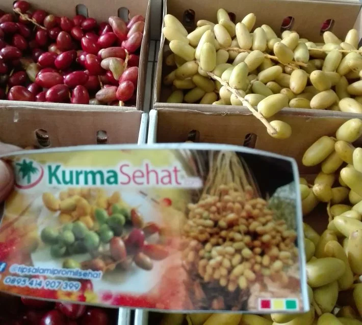 kurma untuk penderita diabetes
