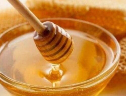 6 Cara Membedakan Madu Asli dan Palsu, Untuk Menikmati Manfaatnya