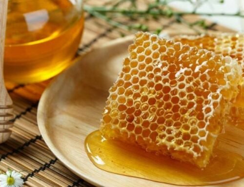 Tips Cara Membedakan Madu Sarang Asli dan Palsu