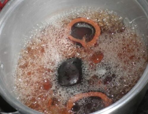 Cara Menyimpan Buah Zuriat yang Sudah direbus Agar Tidak Berjamur