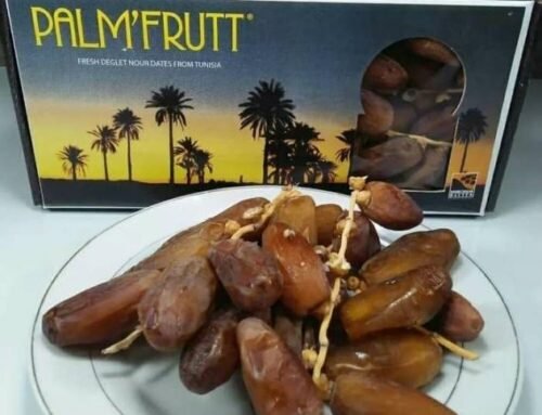 Harga Kurma Palm Fruit yang Terkenal Murah dan Enak