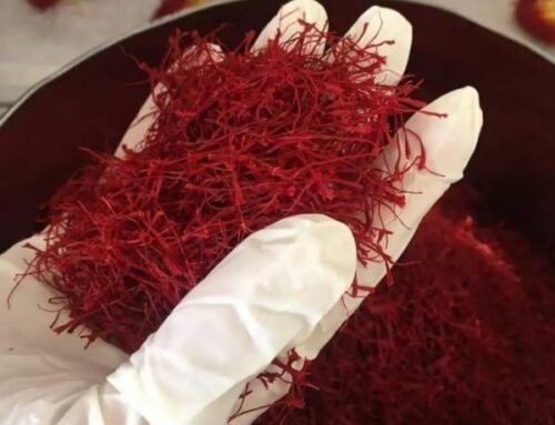 Harga Saffron Super Negin Setara dengan Khasiatnya untuk Kesehatan