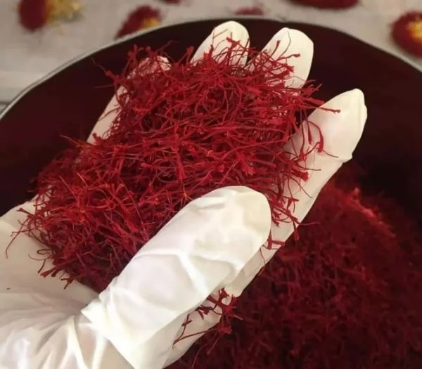 Harga saffron super negin