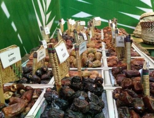 Inilah Jenis Kurma dan Harganya yang Paling Populer