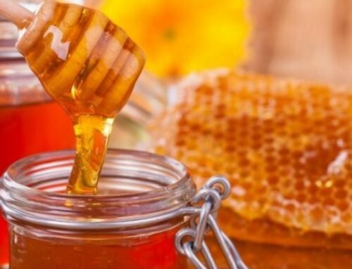 Khasiat Madu Hutan Kalimantan, Salah Satunya Untuk Promil