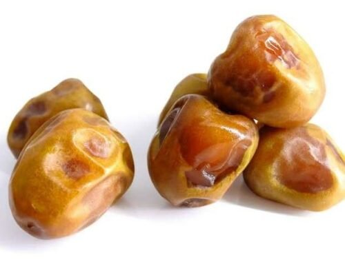 Manfaat Kurma Sukari Bagi Kesehatan dan Wanita, Simak Selengkapnya