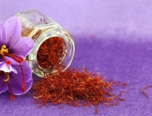 Beberapa Aturan dan Cara Konsumsi Saffron dengan Benar