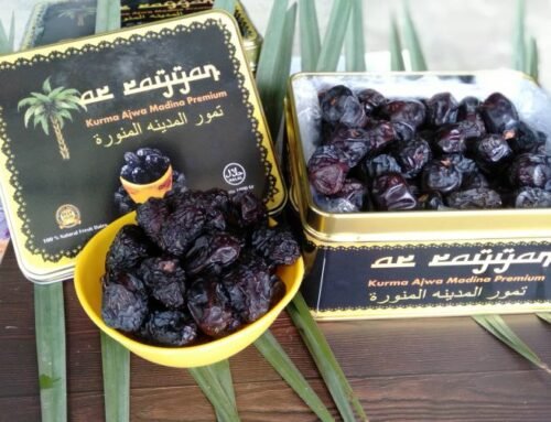 Khasiat Kurma Untuk Persalinan, Penting Untuk Diketahui