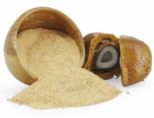 Mau Pilih Buah Zuriat Bubuk Atau Buah Zuriat Madinah Asli?