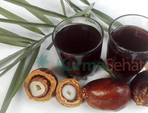 Cara Minum Buah Zuriat Untuk Promil, Jangan Salah yach